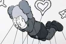 Load image into Gallery viewer, My Kid Just Ruined My Kaws by Ziegler T
